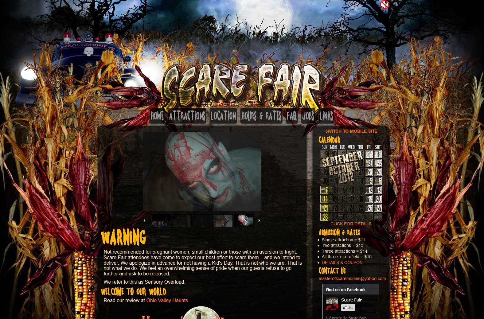 Website